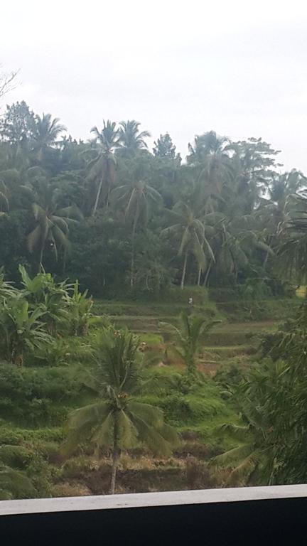 Villa Wedang Tegallalang  Dış mekan fotoğraf